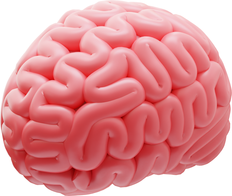 brain 3d illustration